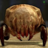 [MA] Headcrab NPC